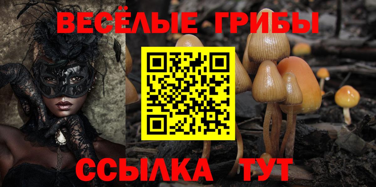 Галлюциногенные грибы ЛСД  Вход с VPN  Фролово 